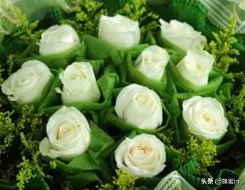 11朵玫瑰代表着什么（11朵玫瑰代表什么花语和寓意呢）
