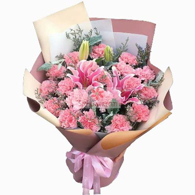 19朵康乃馨花语代表什么（19朵康乃馨花束图片）