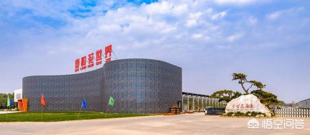西安市花卉批发市场（西安市花卉批发市场一览表）