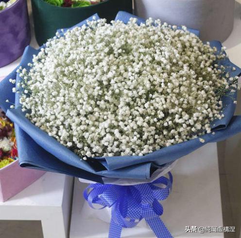如果一个男生送你满天星（一个男生送你满天星什么意思）