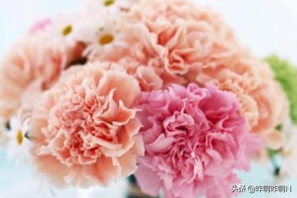母亲节送妈妈什么礼物比较好
