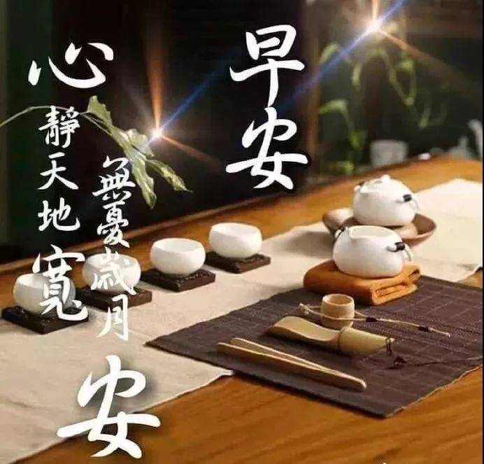 送给情人的鲜花图片大全（送给情人最美的花图片）