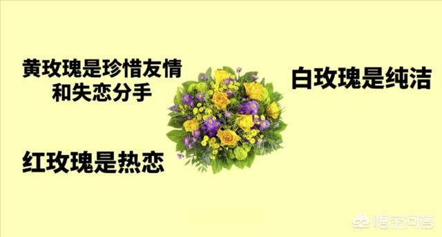 情人节的鲜花图片（情人节的鲜花图片简笔画）