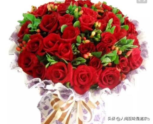 100朵玫瑰花图片（100朵玫瑰花图片真实）