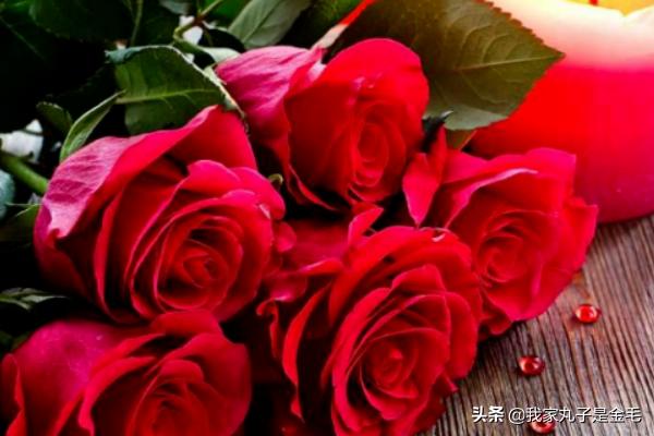 情人节花束最新款图片大全（情人节花束最新款图片 实拍）
