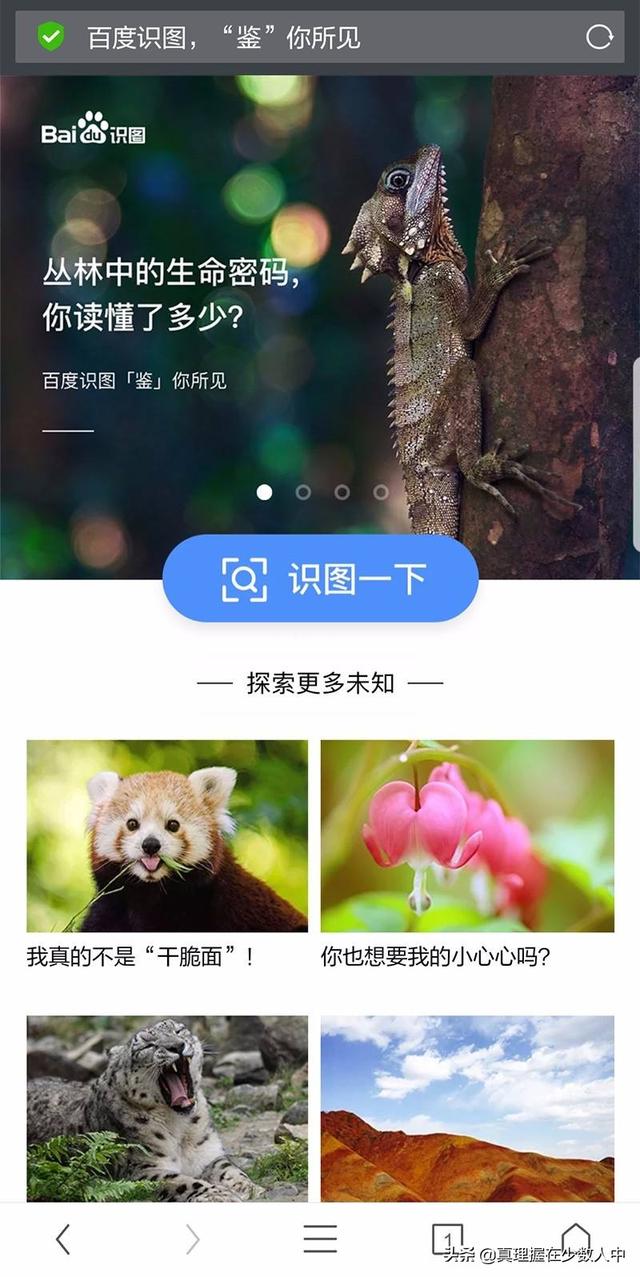 中国花卉网站（中国花卉交易中心）