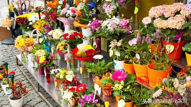 鲜花图片 花束（鲜花图片花束生日）