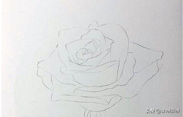 蓝玫瑰图片手绘_蓝玫瑰图片高级