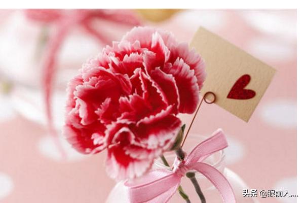 教师节送什么花啊_教师节送什么花花