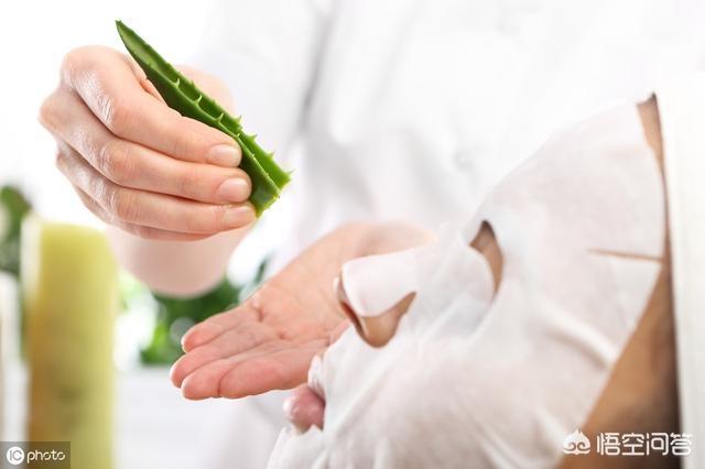 芦荟怎么养殖叶片肥厚_芦荟该怎么养才能叶片肥