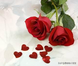 二朵玫瑰花的寓意_二朵玫瑰花的花语是什么