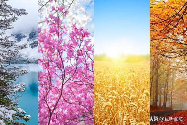 春天常见的40种花夏天常见的