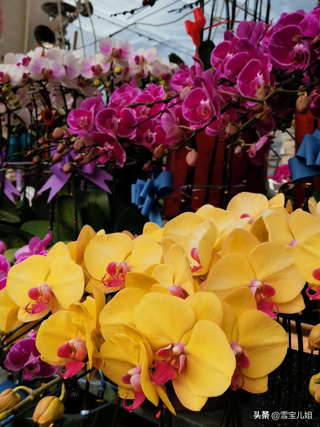 济南鲜花订购_济南鲜花批发