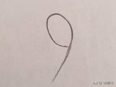 紫玫瑰图片简笔画_紫玫瑰图片 手机壁纸