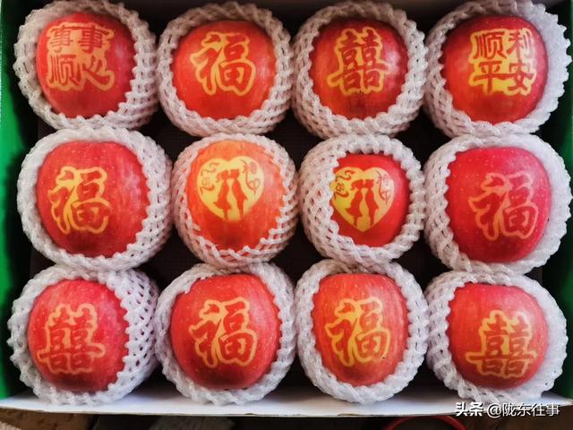 苹果树苗批发市场（苹果树苗批发市场在哪里）